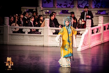 《打金枝》中饰演皇母.jpg 《打金枝》中饰演皇母.jpg